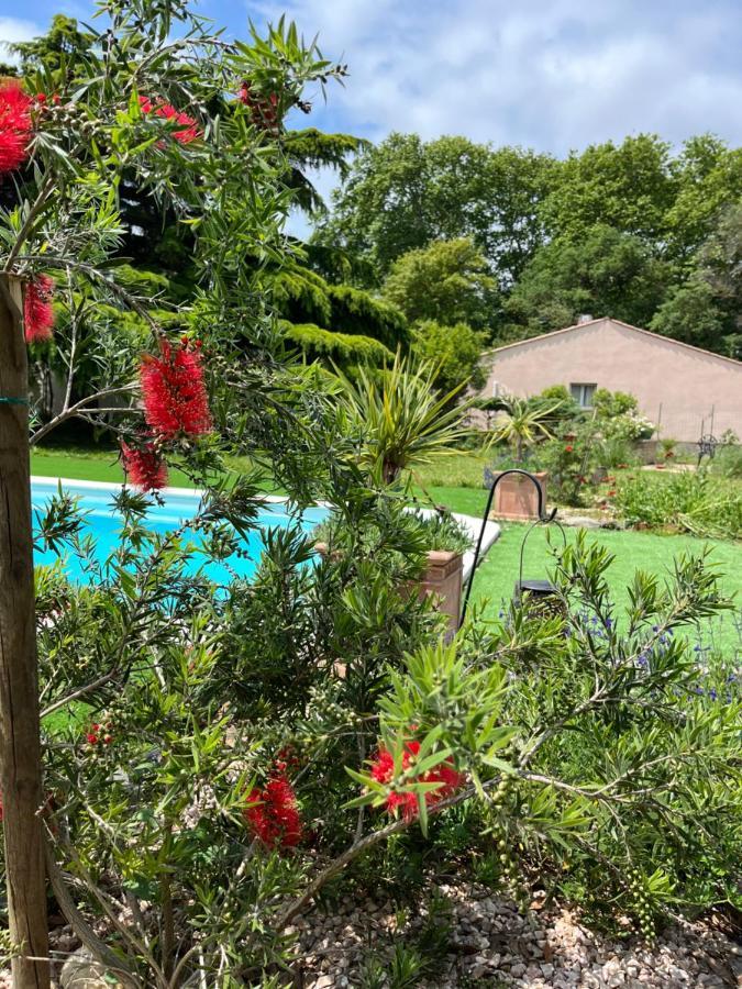 Suite A La Villa Cattus Bram 外观 照片